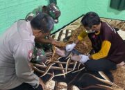 ​Pria di Baturetno Wonogiri Ditemukan Tewas Gantung Diri di Dekat Kandang Ayam