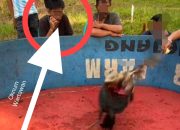 Oknum Mengaku Wartawan Diduga Ikut Judi Sabung Ayam