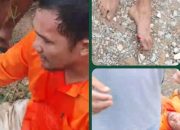 Viral Dugaan Penganiayaan Warga oleh Security PT SLS, Klarifikasi Perusahaan Dinilai Tidak Relevan