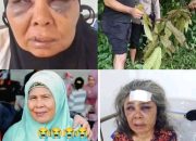 Nenek Penolak Tambang Ilegal Dianiaya Brutal dan Dibuang di Tepi Sungai