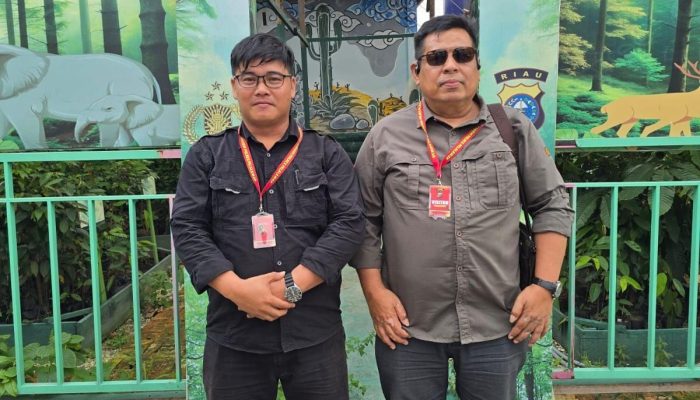 Ironi Konservasi Riau! Penghijauan Gencar, Pembalakan Liar Merajalela, Gajah Mati di Area Konsesi