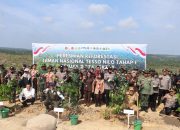Menteri Kehutanan Tanam Pohon Simbolis, Pemerintah Tegas Pulihkan Taman Nasional Tesso Nilo