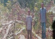 Lima Tahun Menanti Keadilan: Nasib Sariman Terkatung-katung dalam Pusaran Sengketa Tanah