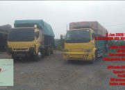 Diduga Truk Pengangkut Kayu Ilegal Logging Bebas Melintas di Lintas Bono, Program Green Policing Dipertanyakan
