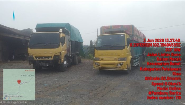Diduga Truk Pengangkut Kayu Ilegal Logging Bebas Melintas di Lintas Bono, Program Green Policing Dipertanyakan