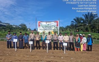 Pesantren Dan Poktan – Tanami 1 Ha Jagung Pipil Lamuru, Dukung Ketahtanan Pangan