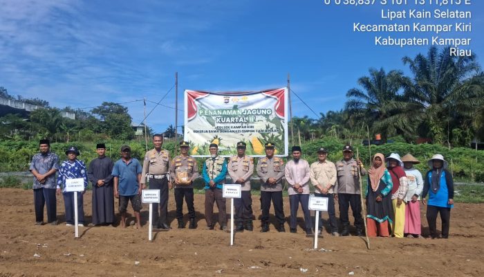 Pesantren Dan Poktan – Tanami 1 Ha Jagung Pipil Lamuru, Dukung Ketahtanan Pangan