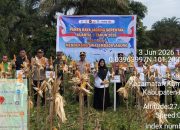 Polsek Kampar Kiri Panen Raya Jagung 1,5 Hektare, Perkuat Ketahanan Pangan dan Dukung Program Asta Cita Presiden
