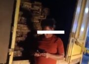 Diduga Beroperasi pada Malam Hari, Aktivitas Pembalakan Liar di Hutan Rimba Melintang Jadi Sorotan Publik