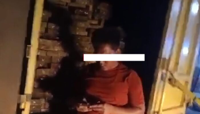 Diduga Beroperasi pada Malam Hari, Aktivitas Pembalakan Liar di Hutan Rimba Melintang Jadi Sorotan Publik
