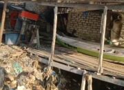 Urukan dan Reklamasi Ilegal di Sapeken Merajalela Lemahnya Pengawasan APH